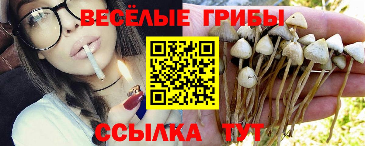 Галлюциногенные грибы Cubensis  Вход с VPN  Стрежевой 
